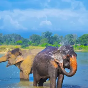 Explore Explore Nepal Tour for 8 days with Approved Holidays Pvt. Ltd. and discover unforgettable experiences - Photo 8