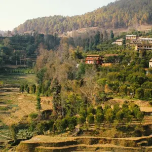 Explore Kathmandu Nagarkot Tour for 5 days with Approved Holidays Pvt. Ltd. and discover unforgettable experiences - Photo 9