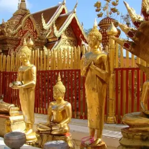 Explore Discovery Thailand- Chiang Rai- Chiang Mai 8 Days 7 Nights for 8 days with Asia Focus Travel and discover unforgettable experiences - Photo 5