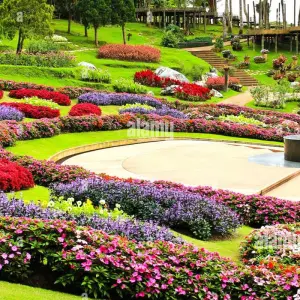 Explore The beauty of Thailand 21 days 20 nights for 21 days with Asia Focus Travel and discover unforgettable experiences - Photo 3