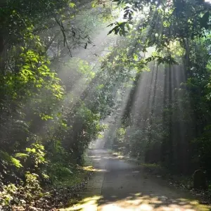 Explore Hanoi - Ninh Binh 2 Days 1 Night by Limousine (Hoa Lu, Tam Coc, Cuc Phuong National Park) for 2 days with Asia Focus Travel and discover unforgettable experiences - Photo 8