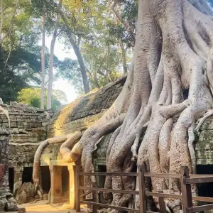 Explore Highlight  Siem Reap 4 Days 3 Nights for 4 days with Asia Focus Travel and discover unforgettable experiences - Photo 8