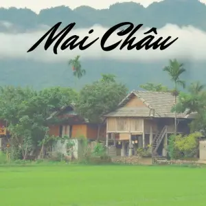 Explore The Beauty Of Vietnam 25 Days for 25 days with Asia Focus Travel and discover unforgettable experiences - Photo 10