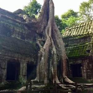 Explore Southern Vietnam and Cambodia 8 days for 8 days with Asia Focus Travel and discover unforgettable experiences - Photo 6
