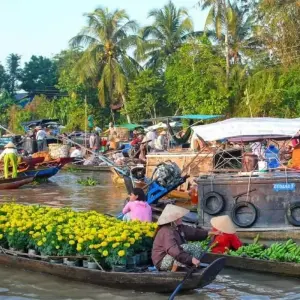Explore Southern Vietnam and Cambodia 8 days for 8 days with Asia Focus Travel and discover unforgettable experiences - Photo 11