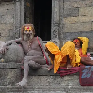 Explore Glimpus of Nepal:  Poon Hill Trek & Wildlife Adventure for 15 days with Asian Heritage Treks & Expeditions and discover unforgettable experiences - Photo 3