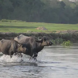 Explore Paradise of Nepal for 11 days with Asian Heritage Treks & Expeditions and discover unforgettable experiences - Photo 4