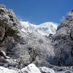 Explore Tamang Heritage & Langtang Trek for 15 days with Asian Heritage Treks & Expeditions and discover unforgettable experiences - Photo 6