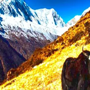 Explore Manaslu Circuit Trek for 16 days with Asian Heritage Treks & Expeditions and discover unforgettable experiences - Photo 2