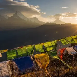 Explore Glimpus of Nepal:  Poon Hill Trek & Wildlife Adventure for 15 days with Asian Heritage Treks & Expeditions and discover unforgettable experiences - Photo 6