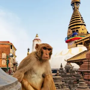 Explore Kathmandu Sightseeing and Nagarkot Tour for 5 days with Asian Heritage Treks & Expeditions and discover unforgettable experiences - Photo 7