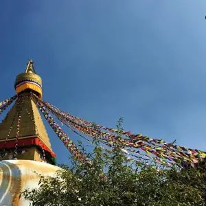 Explore Paradise of Nepal for 11 days with Asian Heritage Treks & Expeditions and discover unforgettable experiences - Photo 6