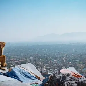 Explore Eastern Nepal Tour for 9 days with Asian Heritage Treks & Expeditions and discover unforgettable experiences - Photo 6