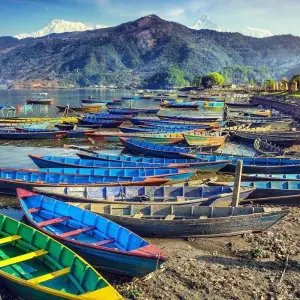 Explore Glimpus of Nepal:  Poon Hill Trek & Wildlife Adventure for 15 days with Asian Heritage Treks & Expeditions and discover unforgettable experiences - Photo 11
