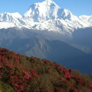 Explore Mardi Himal Trek for 13 days with Asian Heritage Treks & Expeditions and discover unforgettable experiences - Photo 11