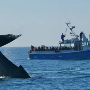 Explore Atlantic Maritimes for 13 days with Atlantic Tours & Travel and discover unforgettable experiences - Photo 4