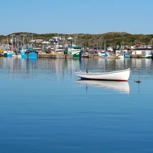 Explore Newfoundland Explorer from Corner Brook for 9 days with Atlantic Tours & Travel and discover unforgettable experiences - Photo 2