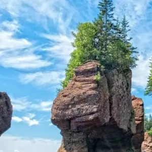 Explore Wonders of the Bay of Fundy for 7 days with Atlantic Tours & Travel and discover unforgettable experiences - Photo 6