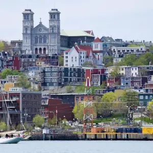 Explore Newfoundland Explorer from Corner Brook for 9 days with Atlantic Tours & Travel and discover unforgettable experiences - Photo 3
