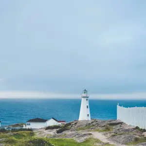 Explore Newfoundland & Labrador's Viking Trail from Corner Brook for 7 days with Atlantic Tours & Travel and discover unforgettable experiences - Photo 6