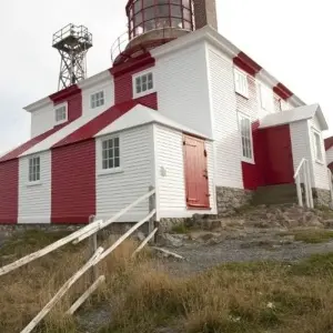 Explore Newfoundland Explorer from Corner Brook for 9 days with Atlantic Tours & Travel and discover unforgettable experiences - Photo 6