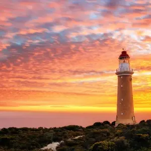 Explore Best of Adelaide with Barossa Valley & Kangaroo Island for 6 days with Australia and New Zealand Travel Company and discover unforgettable experiences - Photo 2