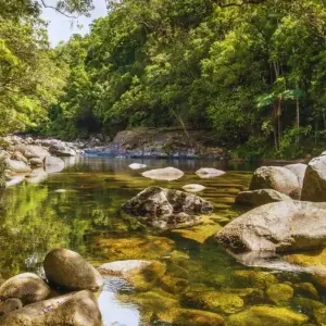Explore Best of Australia with Sightseeing Tours for 13 days with Australia and New Zealand Travel Company and discover unforgettable experiences - Photo 5