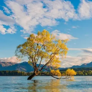 Explore Ultimate New Zealand Self-Drive and Stay 32 Days for 32 days with Australia and New Zealand Travel Company and discover unforgettable experiences - Photo 3