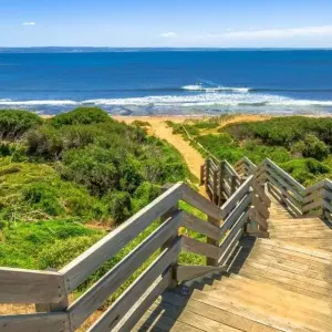 Explore Best of Melbourne with Great Ocean Road & Phillip Island for 6 days with Australia and New Zealand Travel Company and discover unforgettable experiences - Photo 4