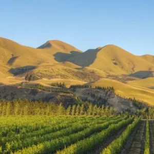 Explore 14 Days Best of New Zealand, Auckland, Christchurch & Queenstown for 14 days with Australia and New Zealand Travel Company and discover unforgettable experiences - Photo 5