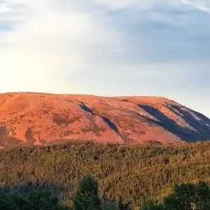 Explore Newfoundland & Labrador's Viking Trail from Corner Brook for 7 days with Atlantic Tours & Travel and discover unforgettable experiences - Photo 11