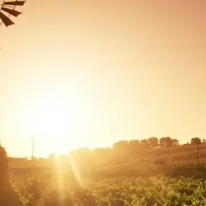 Explore Best of Adelaide with Barossa Valley & Kangaroo Island for 6 days with Australia and New Zealand Travel Company and discover unforgettable experiences - Photo 6
