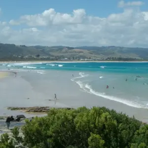 Explore Best of Melbourne with Great Ocean Road & Phillip Island for 6 days with Australia and New Zealand Travel Company and discover unforgettable experiences - Photo 6