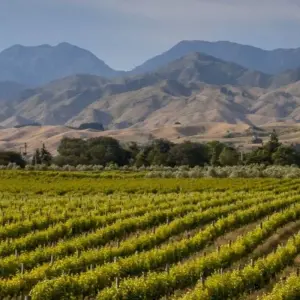 Explore Ultimate New Zealand Self-Drive and Stay 32 Days for 32 days with Australia and New Zealand Travel Company and discover unforgettable experiences - Photo 6