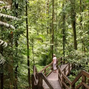 Explore Sydney, Alice Springs, Uluru & Cairns Tour for 10 days with Australia and New Zealand Travel Company and discover unforgettable experiences - Photo 3