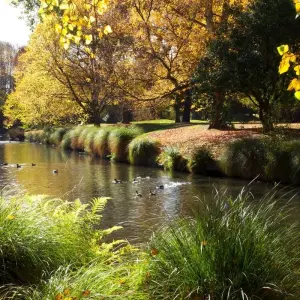 Explore Auckland to Christchurch 10-Day Rail Tour for 10 days with Australia and New Zealand Travel Company and discover unforgettable experiences - Photo 4
