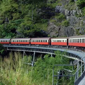 Explore Queensland Cairns, Reef & Rainforest for 7 days with Australia and New Zealand Travel Company and discover unforgettable experiences - Photo 7