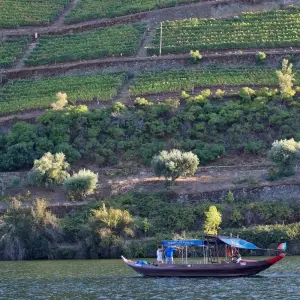 Explore Douro Valley self-guided bike tour for 8 days with Authentic Trails and discover unforgettable experiences - Photo 2