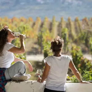 Explore Douro Valley self-guided bike tour for 8 days with Authentic Trails and discover unforgettable experiences - Photo 5