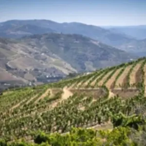 Explore Douro Wine Region self-guided hike tour for 9 days with Authentic Trails and discover unforgettable experiences - Photo 5