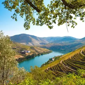 Explore Douro Wine Region self-guided hike tour for 9 days with Authentic Trails and discover unforgettable experiences - Photo 7