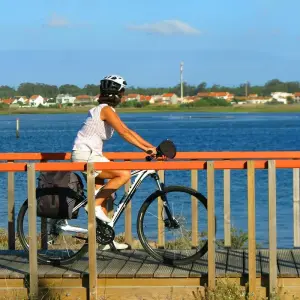 Explore Porto to Coimbra self-guided bike tour for 7 days with Authentic Trails and discover unforgettable experiences - Photo 2
