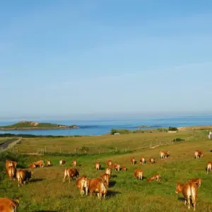 Explore Costa Vicentina: Natural Park self-guided hike tour for 8 days with Authentic Trails and discover unforgettable experiences - Photo 6