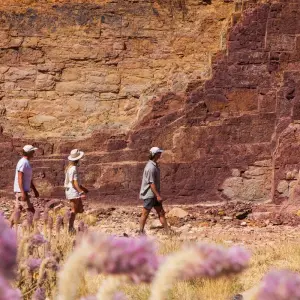 Explore 4 Day Red Centre Uluru to West MacDonnell 4WD Tour - to/from Alice Springs for 4 days with Autopia Tours and discover unforgettable experiences - Photo 4