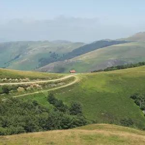 Explore Camino de Santiago self-guided bike tour for 8 days with Authentic Trails and discover unforgettable experiences - Photo 6