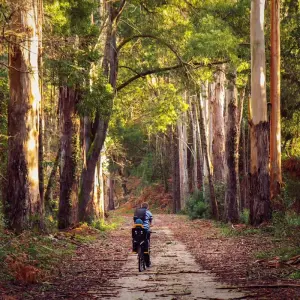 Explore Porto to Lisbon Premium self-guided bike tour for 8 days with Authentic Trails and discover unforgettable experiences - Photo 8