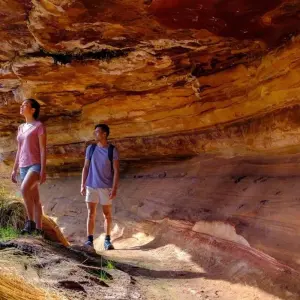 Explore 4 Day Perth to Monkey Mia Coastal Loop Comfort-level (Accommodated) Tour for 4 days with Autopia Tours and discover unforgettable experiences - Photo 4