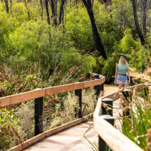 Explore Pinnacles Lobster Yanchep Day Tour Experience for 1 days with Autopia Tours and discover unforgettable experiences - Photo 8
