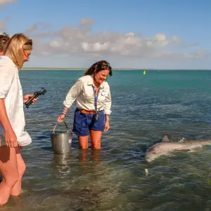 Explore 7 Day Perth to Exmouth Explorer & Ningaloo Reef Return - from Perth for 7 days with Autopia Tours and discover unforgettable experiences - Photo 6