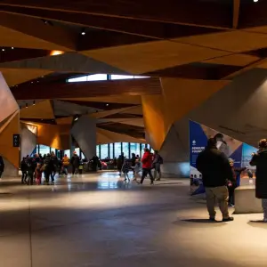 Explore Phillip Island Penguins & Koalas Tour for 1 days with Autopia Tours and discover unforgettable experiences - Photo 5